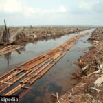 Riau_deforestation_2006